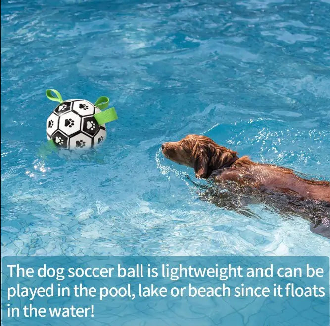 Interactive Dog Football (Durable PU)