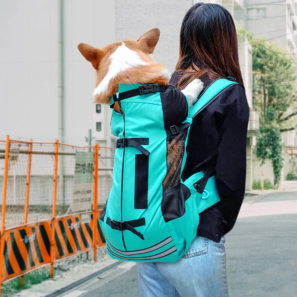 Pet Carrier Backpacks: How to Pick a Safe One for Your Dog or Cat