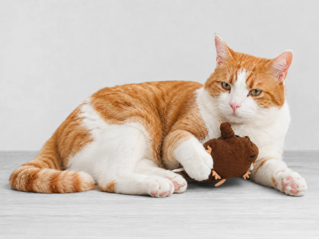 No toy is bad. It just needs to meet the right cat.