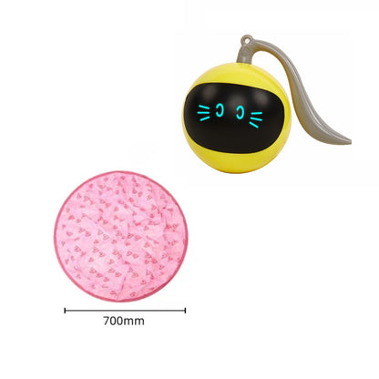Hide & Seek Quiet Cat Toy