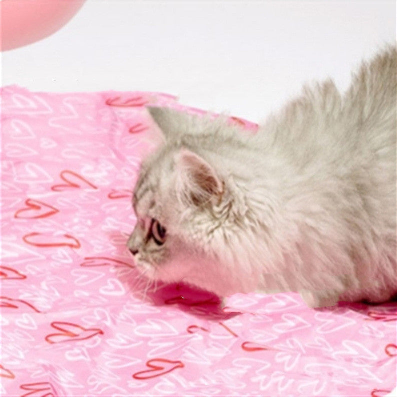 Hide & Seek Quiet Cat Toy