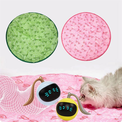 Hide & Seek Quiet Cat Toy