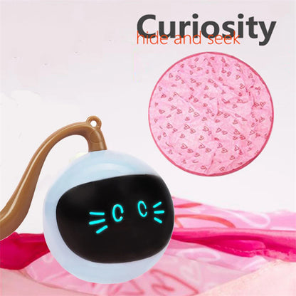 Hide & Seek Quiet Cat Toy