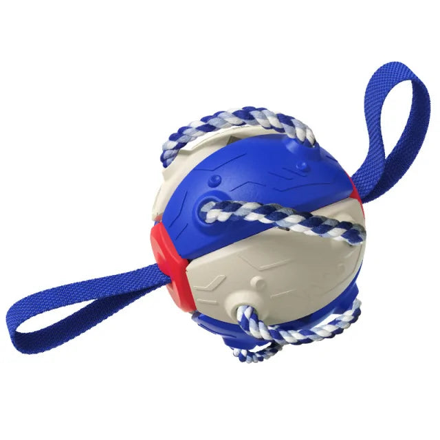 Rebound Frisbee Ball Interactive Dog Toy