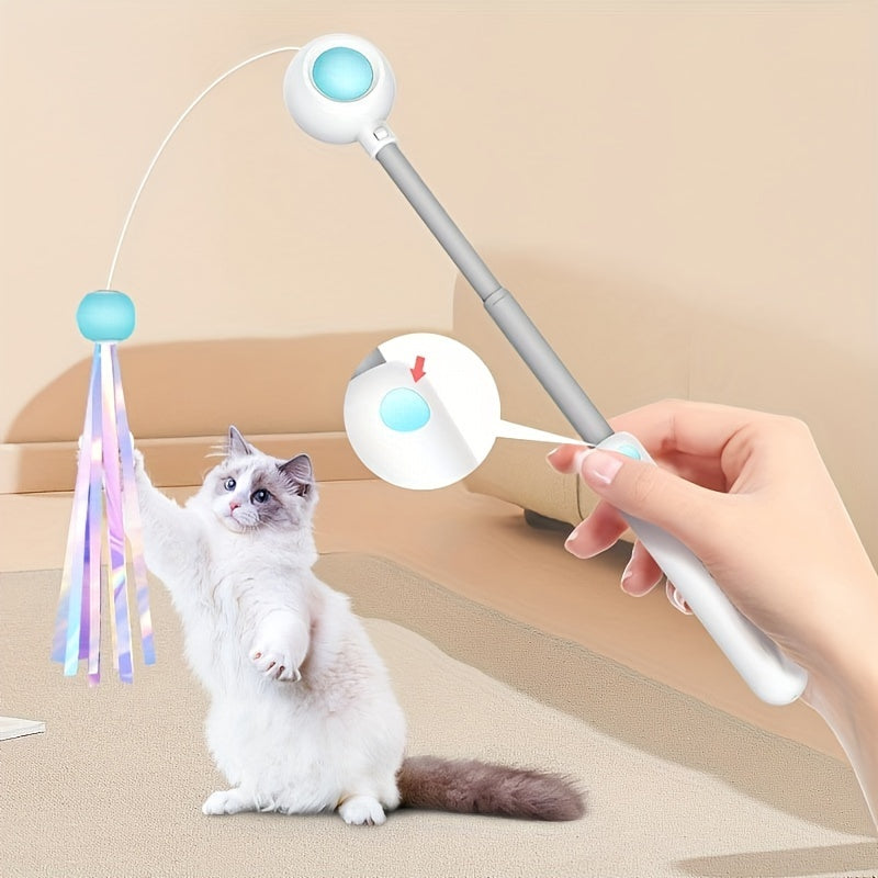 Retractable Cat Teaser Wand with Feather
