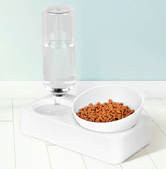 Pet Feeder and Water Bowl Set