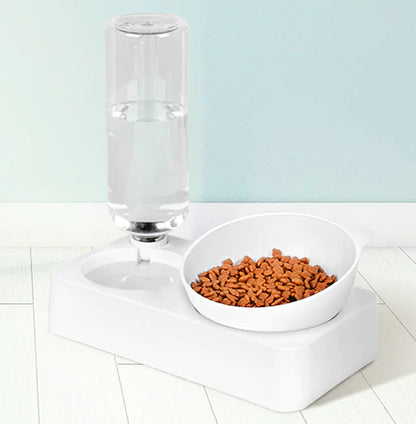 Pet Feeder and Water Bowl Set