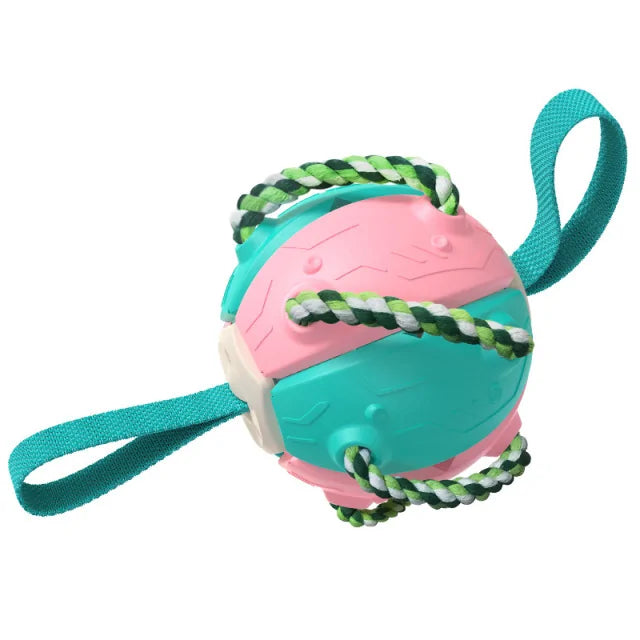 Rebound Frisbee Ball Interactive Dog Toy