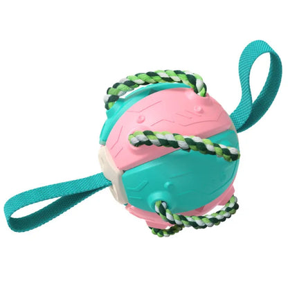 Rebound Frisbee Ball Interactive Dog Toy