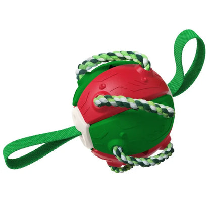 Rebound Frisbee Ball Interactive Dog Toy