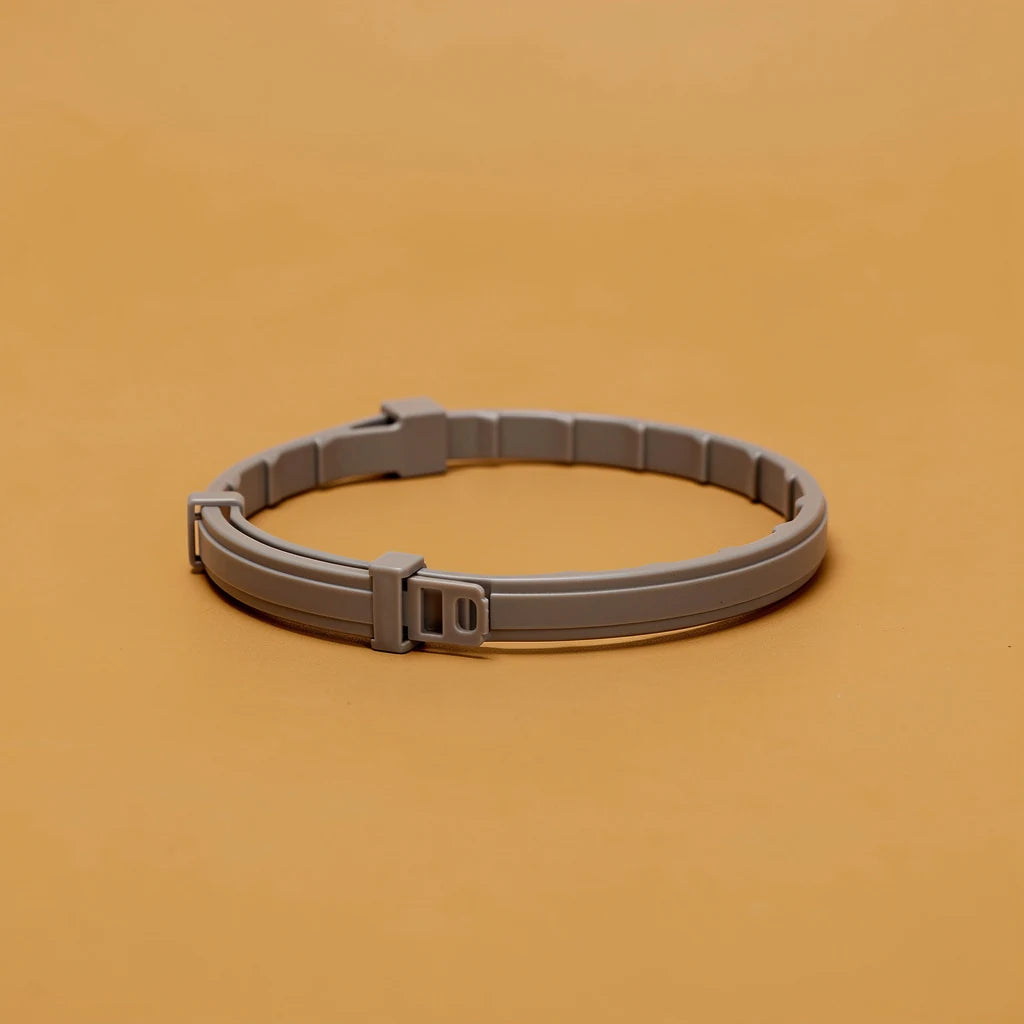 Grey anti-flea pet collar, studio photo