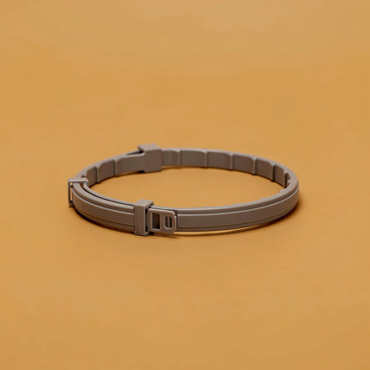 Grey anti-flea pet collar, studio photo