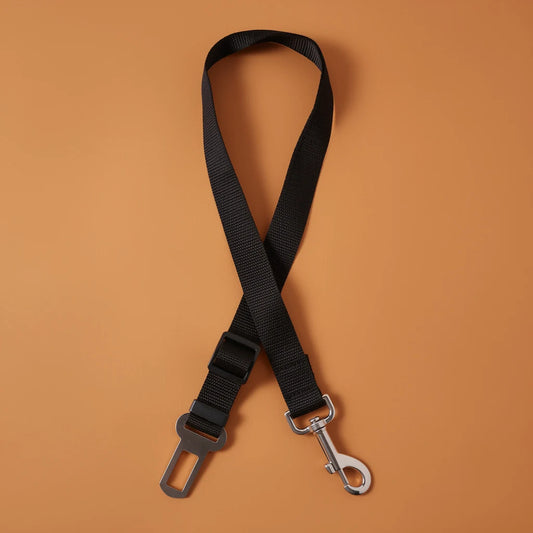 Black dog car safety belt tether, studio photo