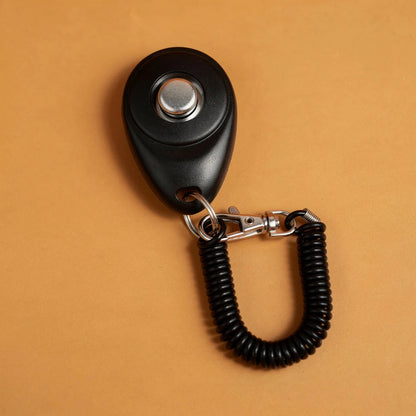 Black dog training clicker with wrist coil, studio photo