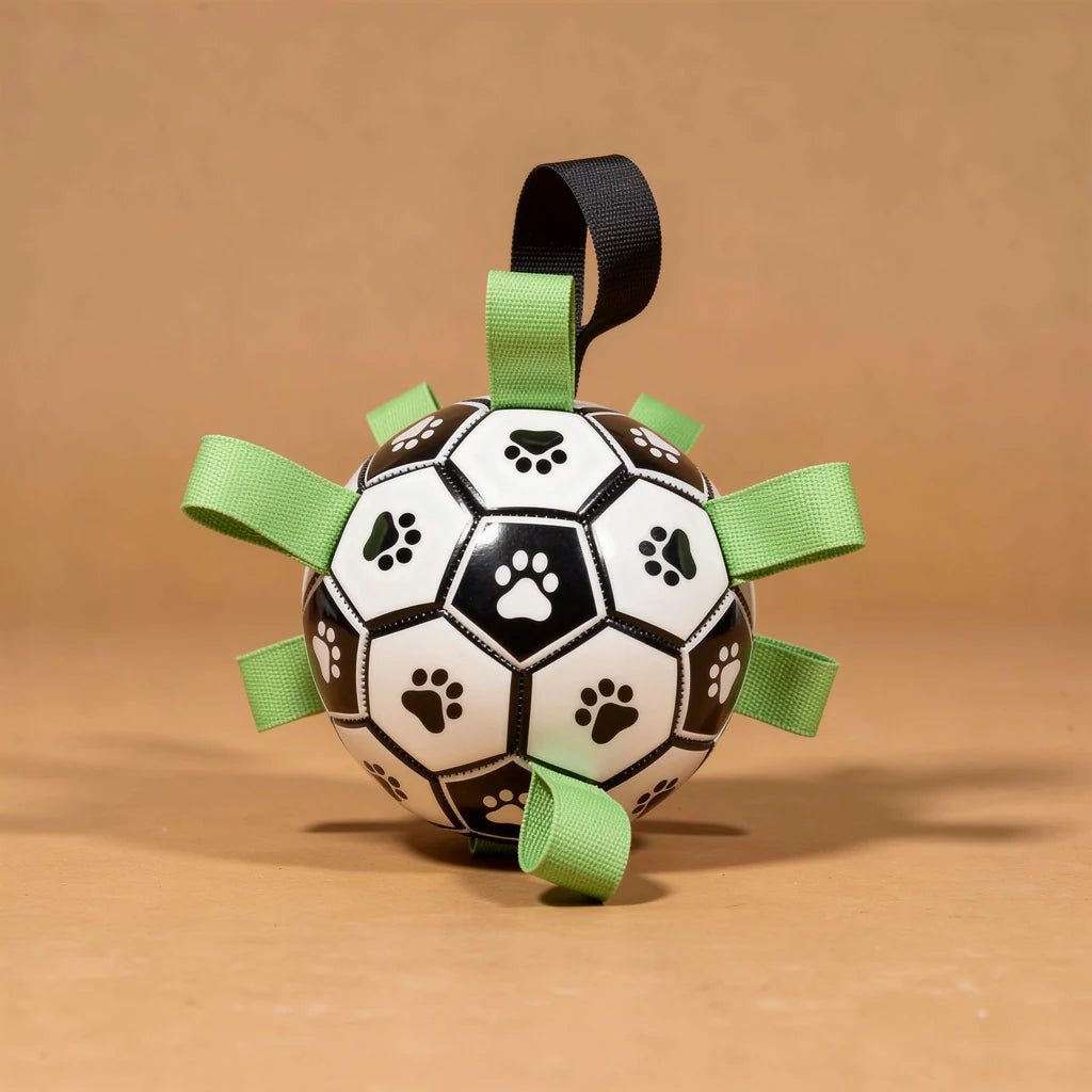 Dog football with grab tabs, studio photo