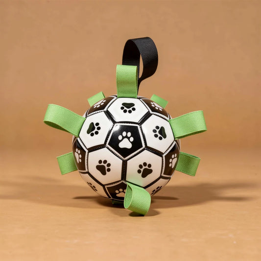 Dog football with grab tabs, studio photo