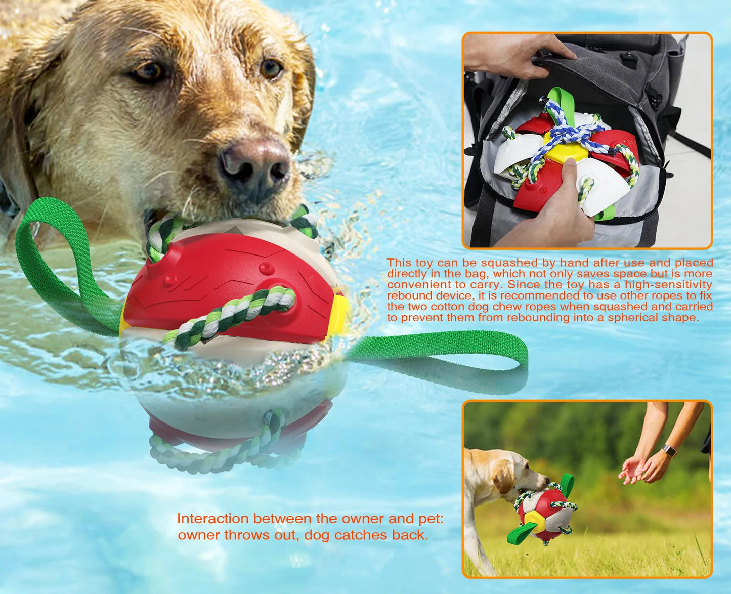 Rebound Frisbee Ball Interactive Dog Toy