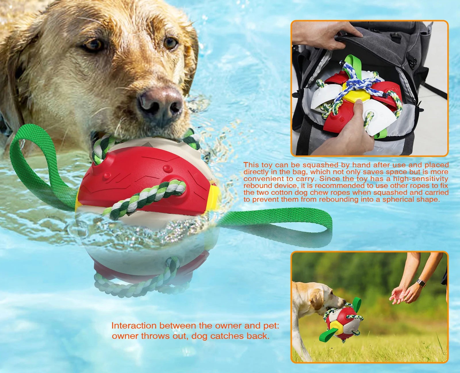 Rebound Frisbee Ball Interactive Dog Toy