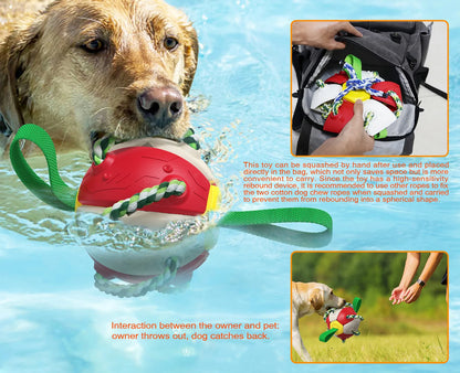 Rebound Frisbee Ball Interactive Dog Toy