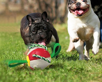 Rebound Frisbee Ball Interactive Dog Toy
