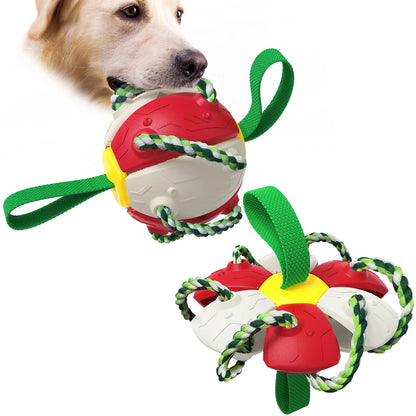 Rebound Frisbee Ball Interactive Dog Toy