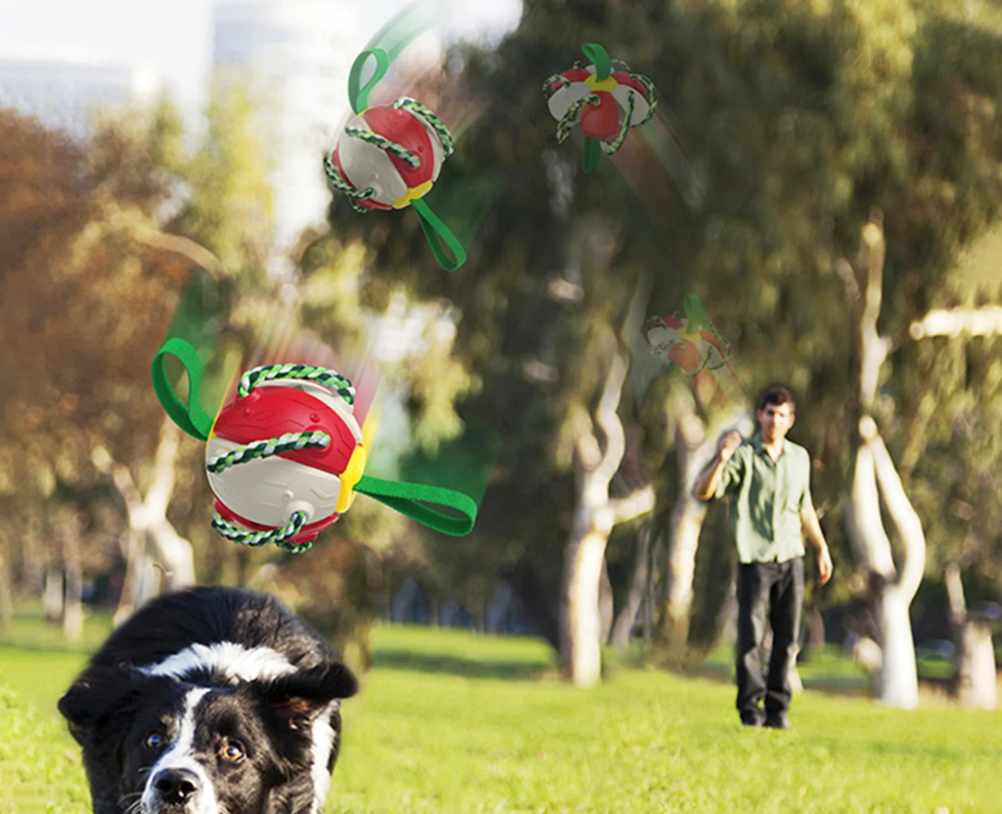 Rebound Frisbee Ball Interactive Dog Toy