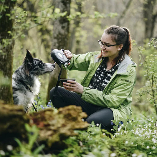 Multifunctional Hands-Free Dog Leash