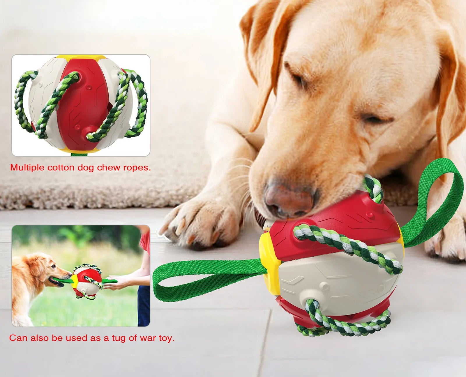 Rebound Frisbee Ball Interactive Dog Toy
