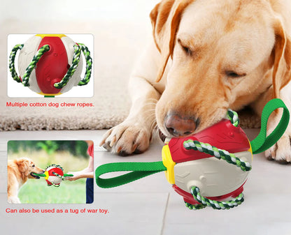 Rebound Frisbee Ball Interactive Dog Toy