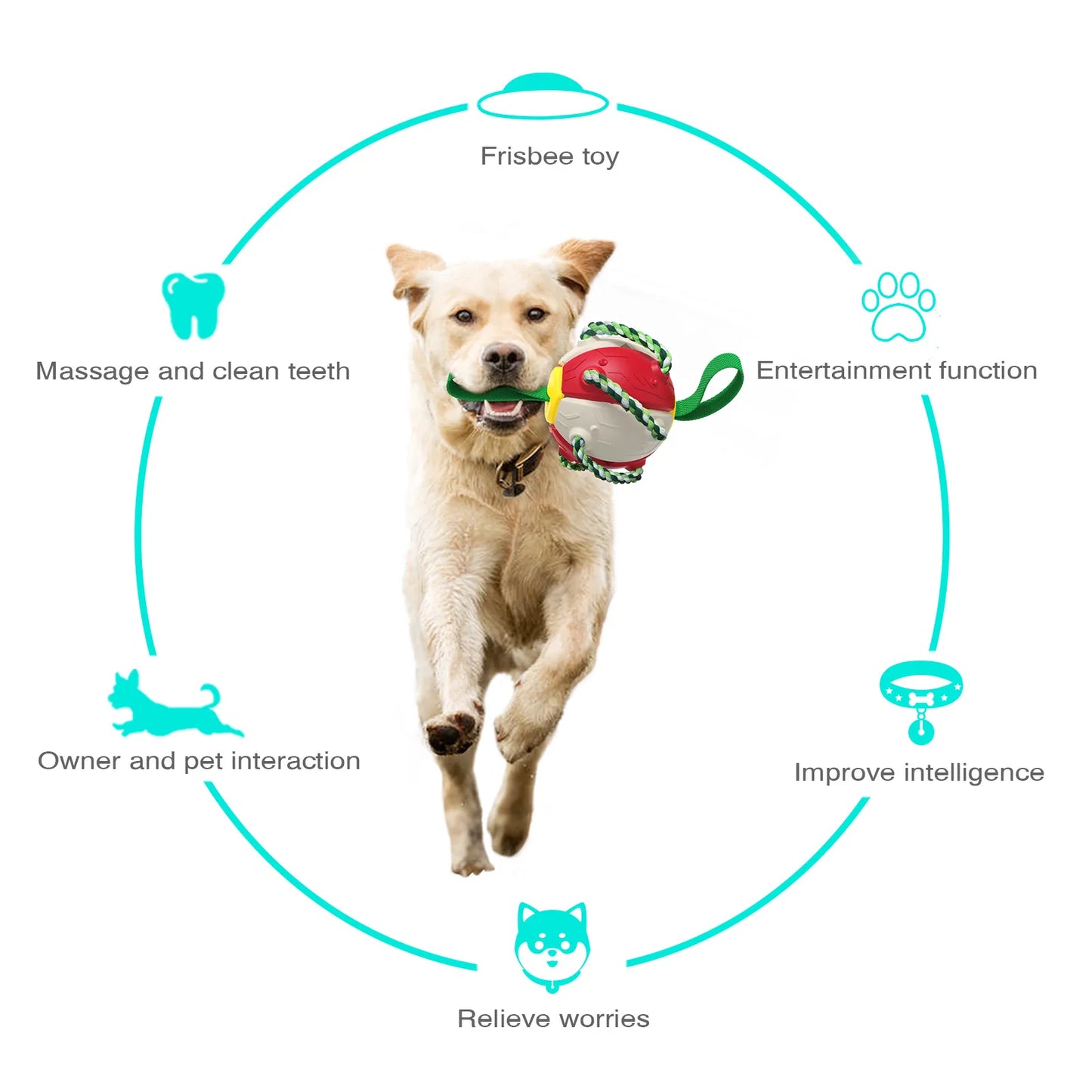Rebound Frisbee Ball Interactive Dog Toy