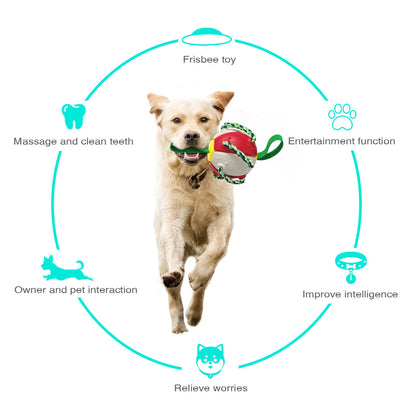 Rebound Frisbee Ball Interactive Dog Toy